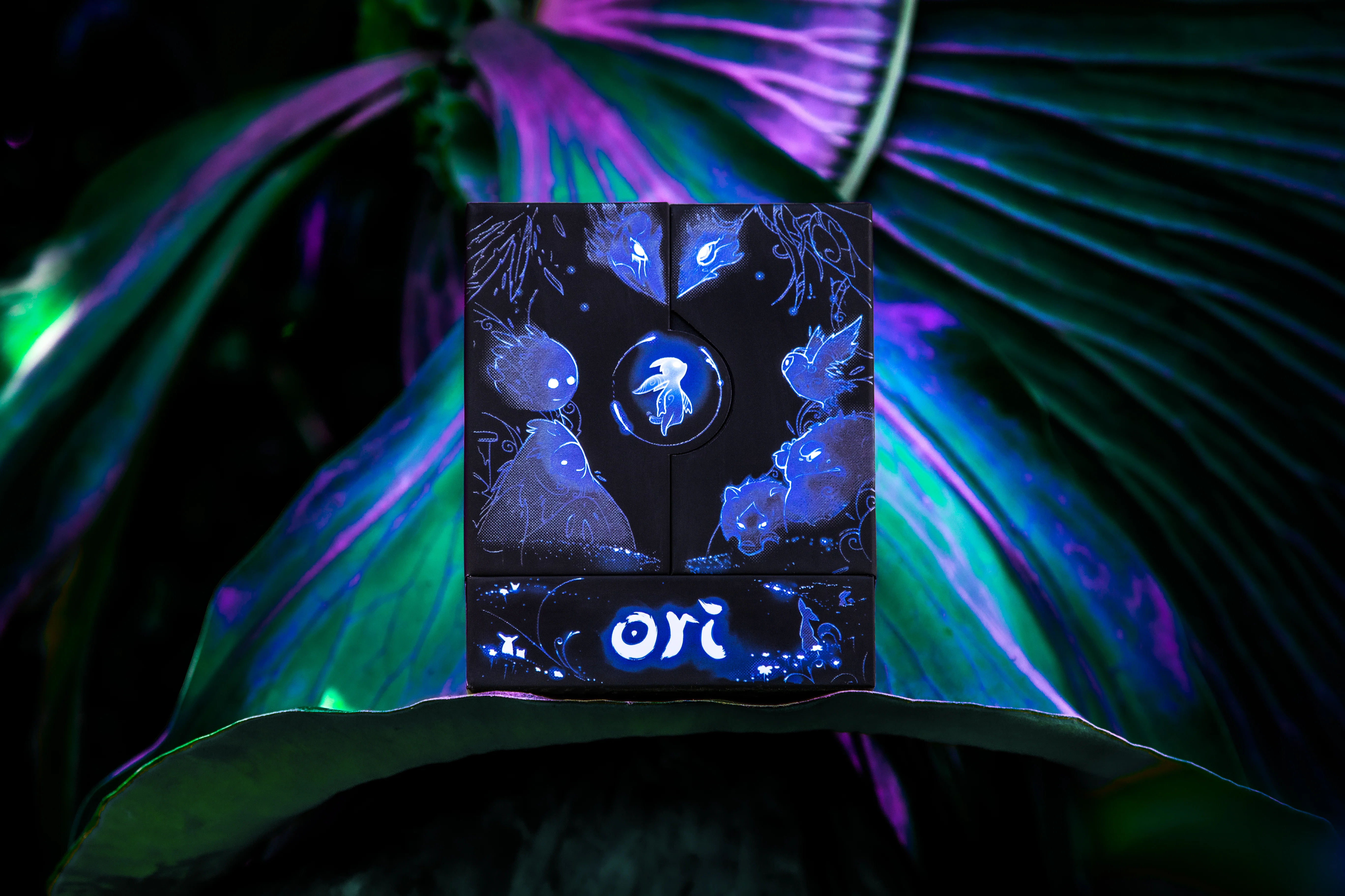 Thumbnail 4